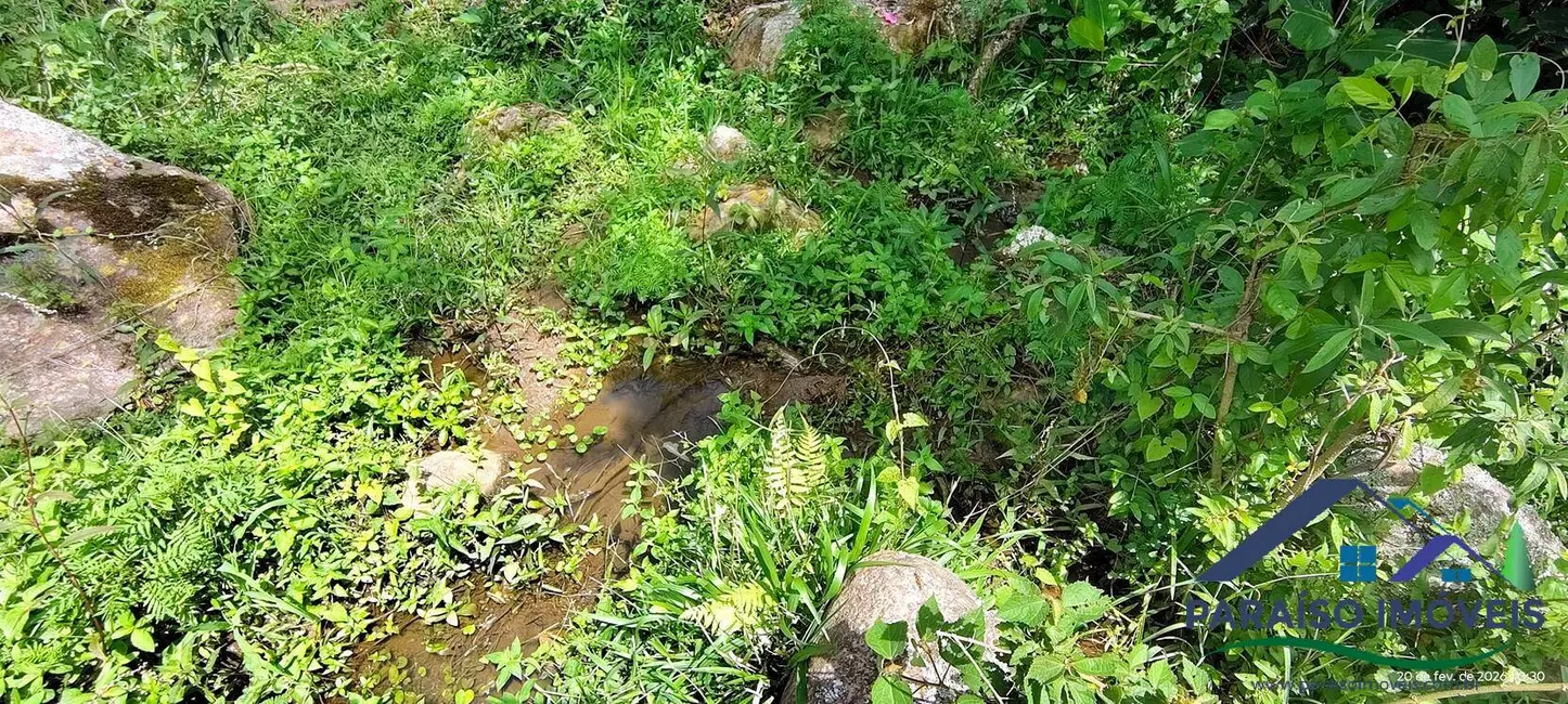 Foto 21 de Chácara à venda, 20000m2 em Centro, Paraisopolis - MG