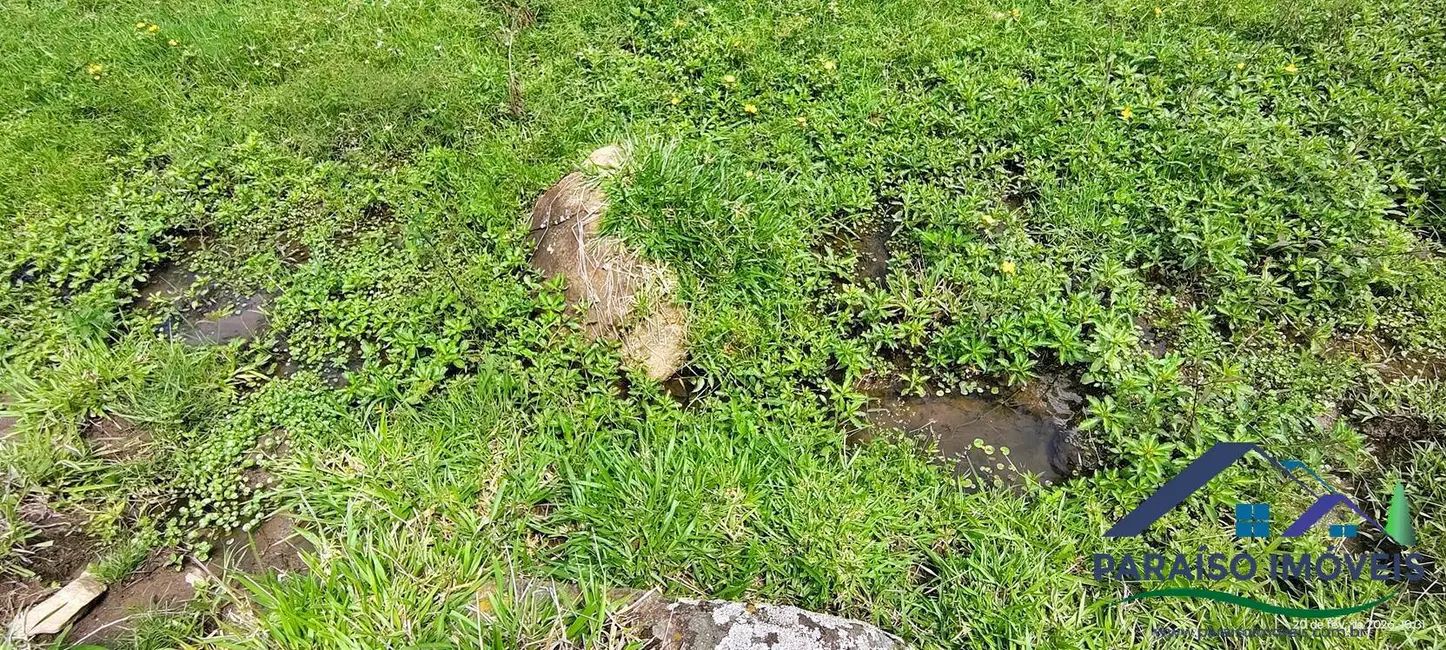 Foto 34 de Chácara à venda, 20000m2 em Centro, Paraisopolis - MG