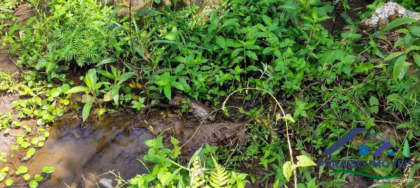 Chácara à venda, 20000m2 em Centro, Paraisopolis - MG - imagem 5 Foto 5 de Chácara à venda, 20000m2 em Centro, Paraisopolis - MG