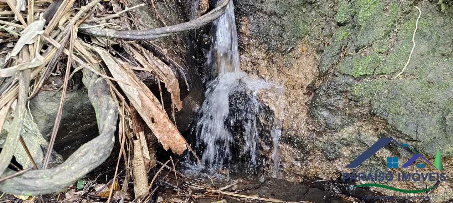 Chácara à venda, 20000m2 em Centro, Paraisopolis - MG - imagem 3 Foto 3 de Chácara à venda, 20000m2 em Centro, Paraisopolis - MG