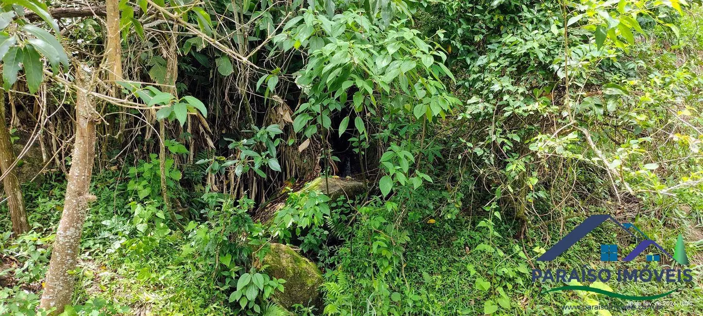 Foto 25 de Chácara à venda, 20000m2 em Centro, Paraisopolis - MG