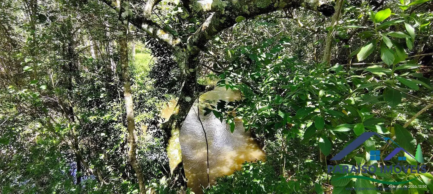 Foto 25 de Chácara à venda, 12000m2 em Centro, Paraisopolis - MG