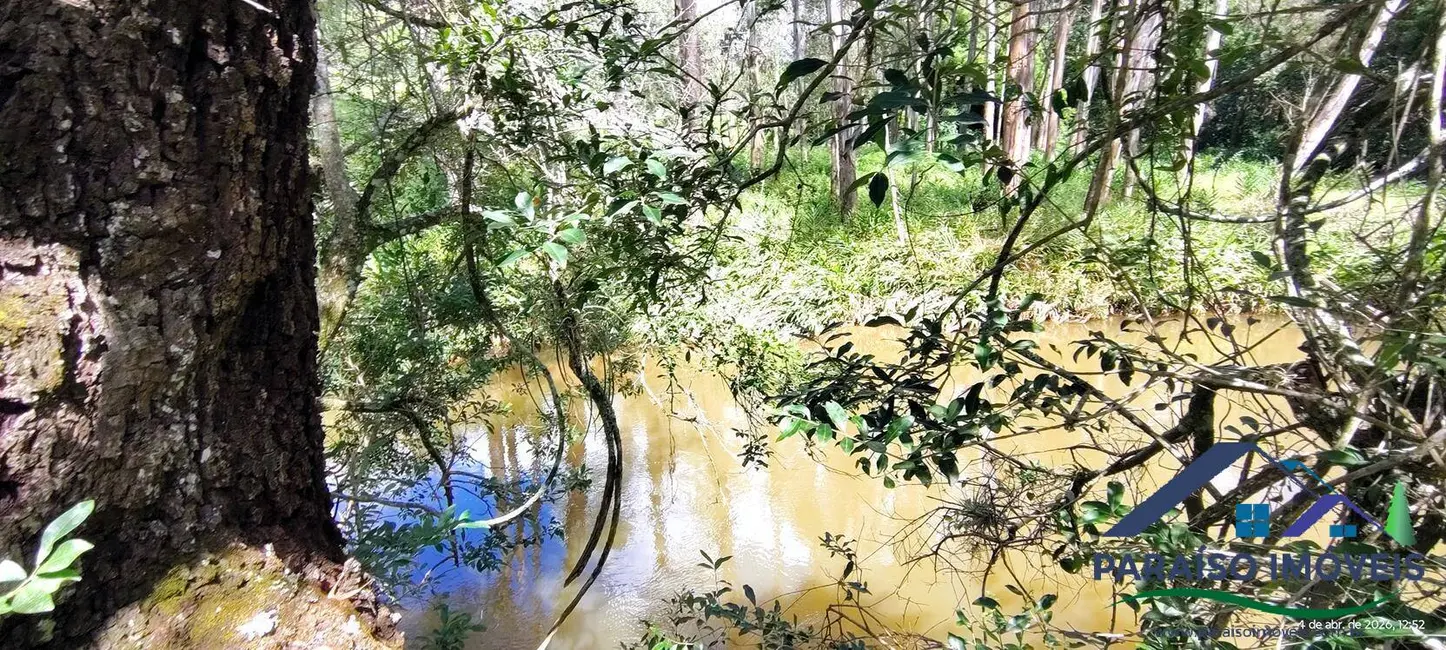 Foto 28 de Chácara à venda, 12000m2 em Centro, Paraisopolis - MG