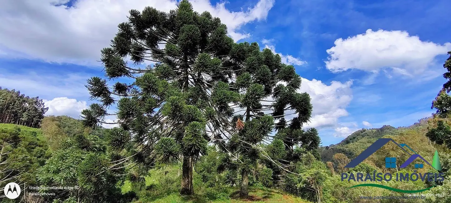 Foto 26 de Chácara à venda, 77580m2 em Centro, Paraisopolis - MG