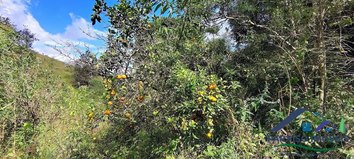 Foto 24 de Chácara à venda, 990000m2 em Centro, Paraisopolis - MG