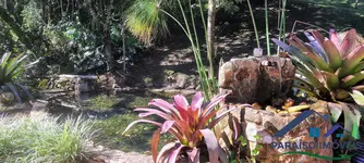 Imagem 5