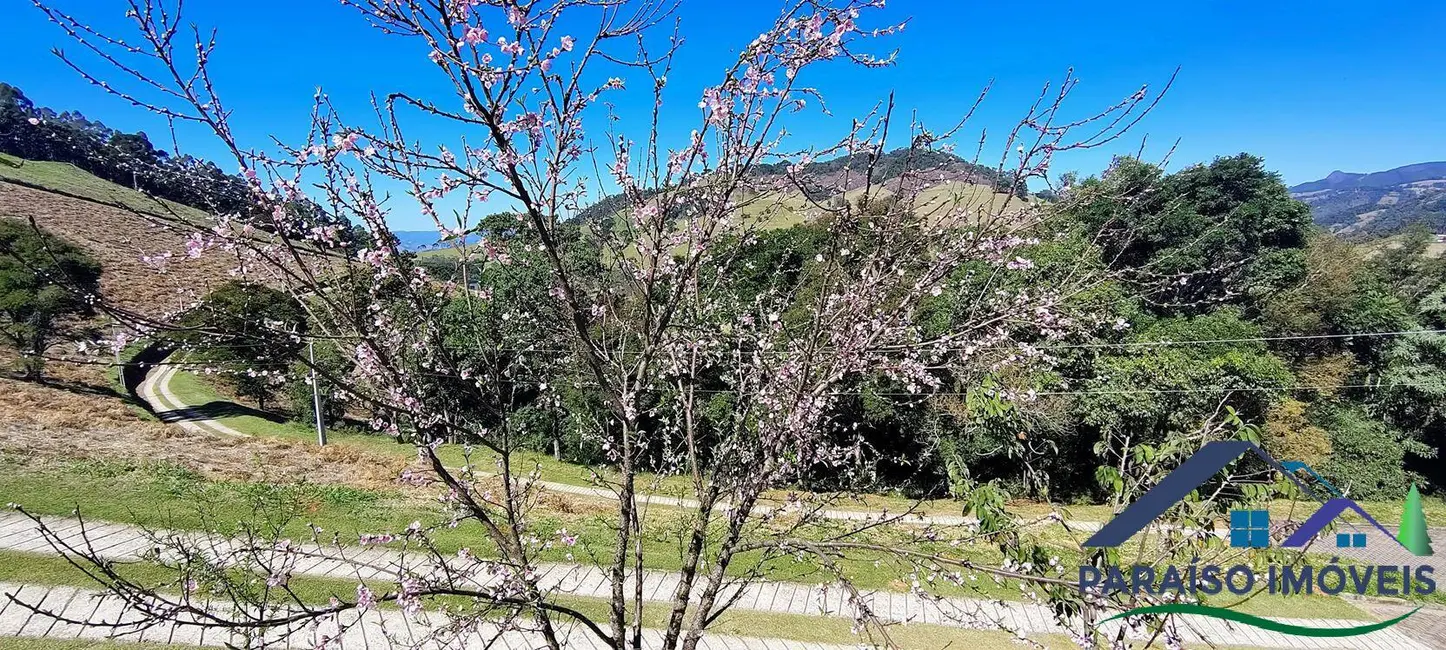 Foto 12 de Chácara à venda, 20000m2 em Centro, Goncalves - MG