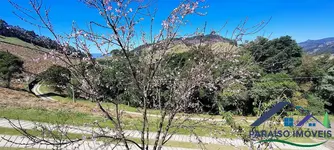 Imagem 12