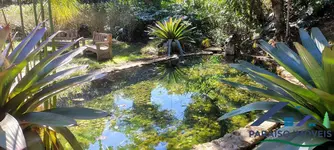 Imagem 4