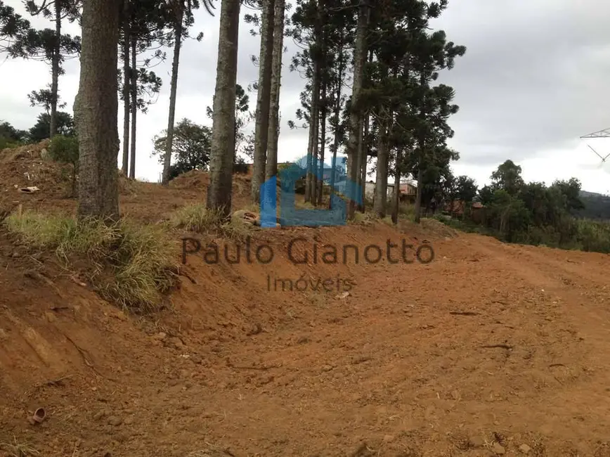 Foto 5 de Terreno / Lote à venda, 2743m2 em Jardim Ísis, Cotia - SP