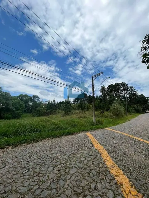 Foto 8 de Lote de Condomínio à venda, 4973m2 em Granja Viana, Cotia - SP