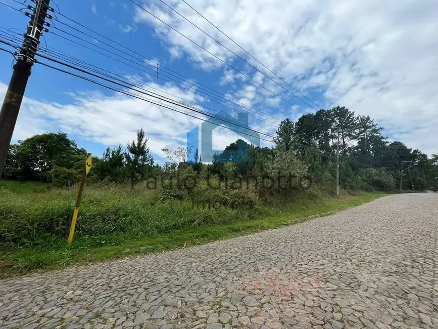 Foto 6 de Lote de Condomínio à venda, 4973m2 em Granja Viana, Cotia - SP
