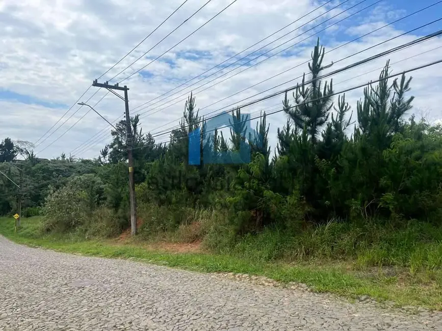 Foto 3 de Lote de Condomínio à venda, 4973m2 em Granja Viana, Cotia - SP