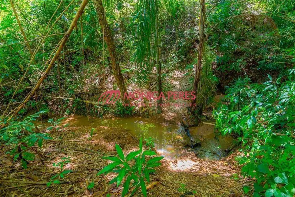 Casa com 3 quartos à venda, 20300m2 em Valinhos - SP - imagem 7 Foto 7 de Casa com 3 quartos à venda, 20300m2 em Valinhos - SP