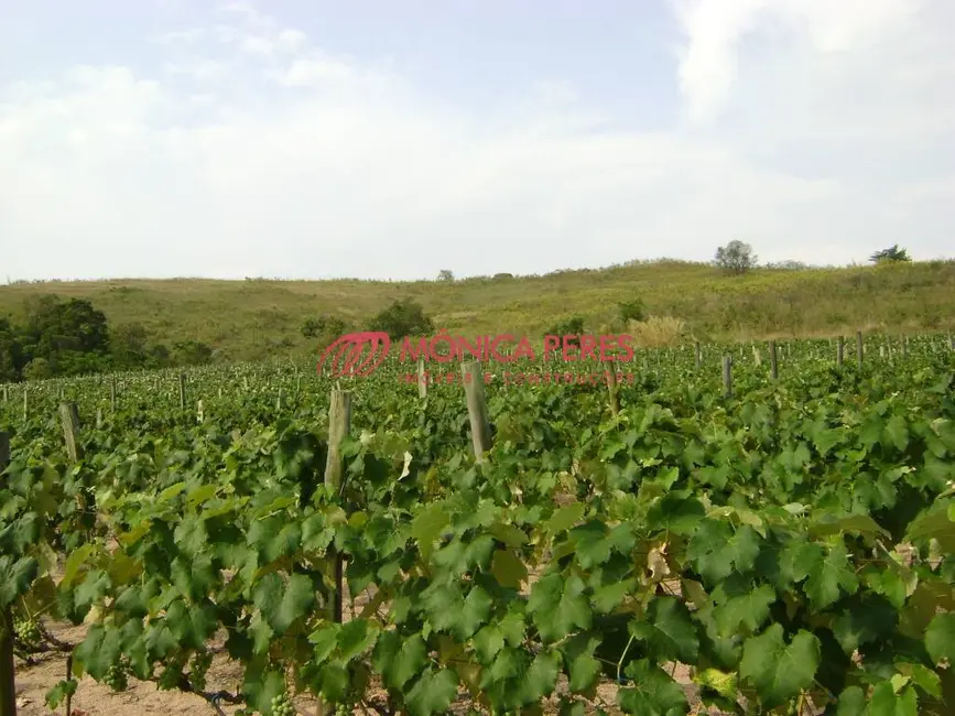 Foto 4 de Terreno / Lote à venda em Itupeva - SP