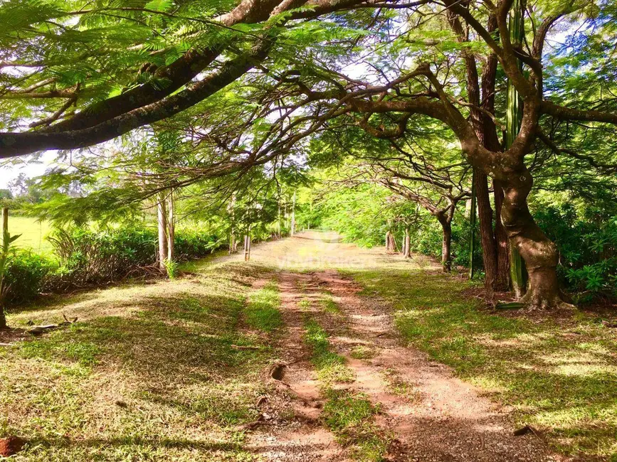 Foto 8 de Sala Comercial à venda, 192477m2 em Porto Feliz - SP