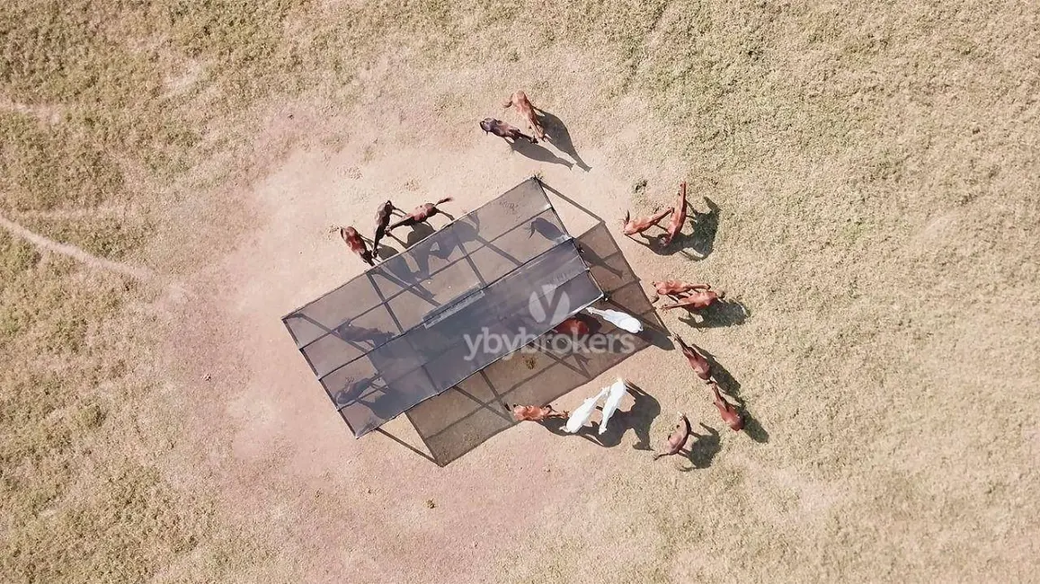 Foto 4 de Terreno / Lote à venda, 20000m2 em Pimenta, Indaiatuba - SP