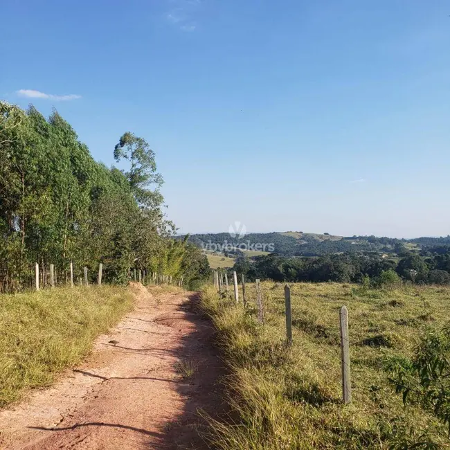Foto 6 de Sala Comercial à venda, 315000m2 em Bairro da Aparecidinha, Itatiba - SP