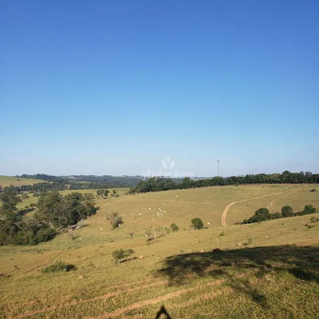 Foto 1 de Sala Comercial à venda, 315000m2 em Bairro da Aparecidinha, Itatiba - SP