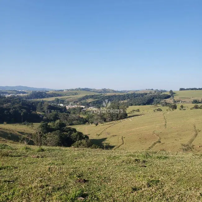 Foto 2 de Sala Comercial à venda, 315000m2 em Bairro da Aparecidinha, Itatiba - SP