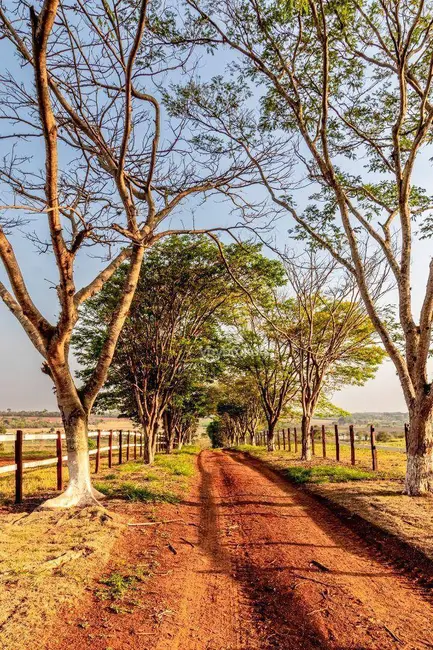 Foto 2 de Fazenda / Haras com 1 quarto à venda, 943800m2 em Cesario Lange - SP