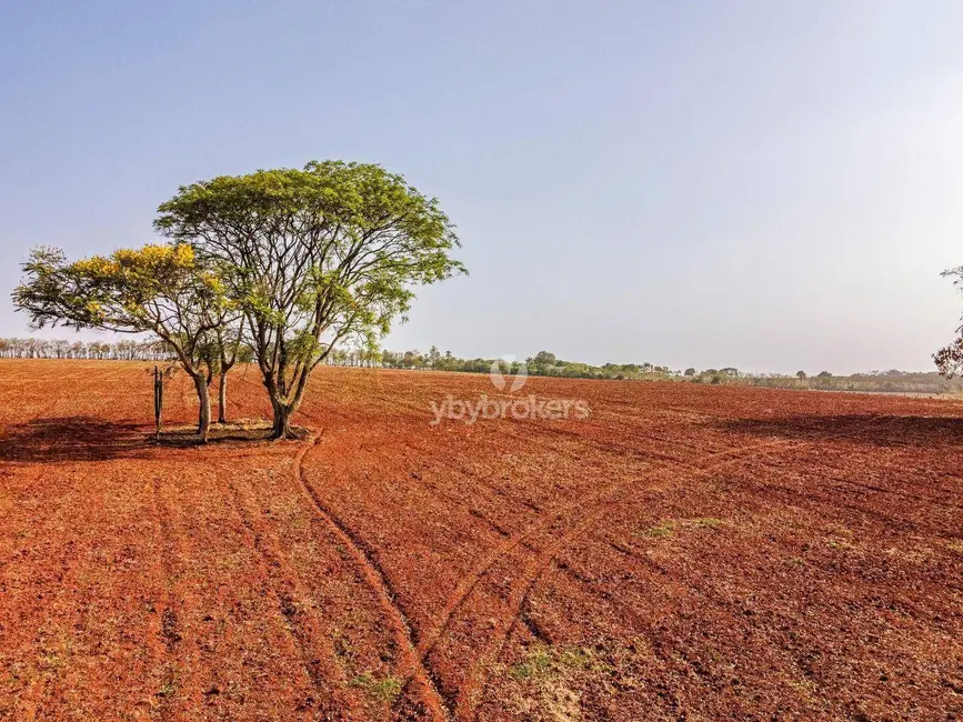 Foto 4 de Fazenda / Haras com 1 quarto à venda, 943800m2 em Cesario Lange - SP