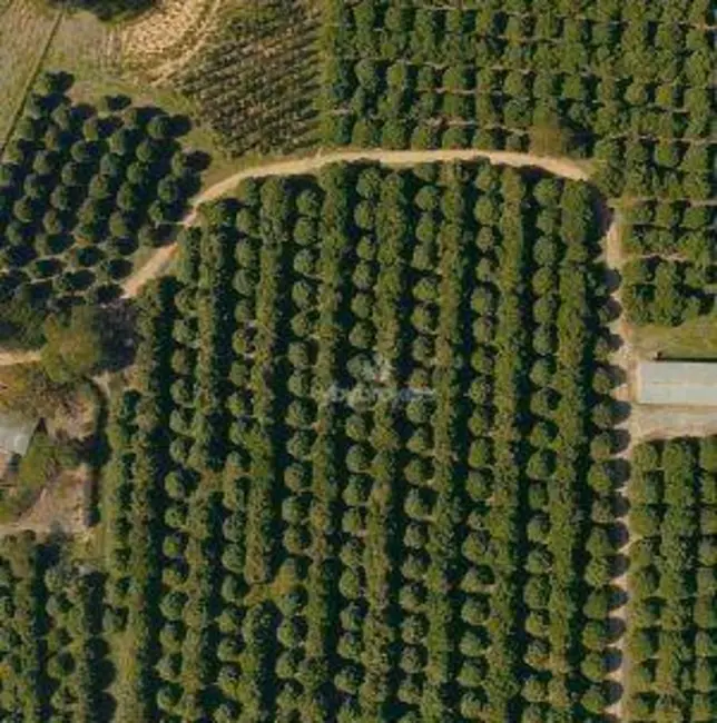 Foto 8 de Sítio / Rancho com 5 quartos à venda, 241100m2 em Porto Feliz - SP