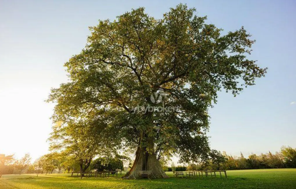 Foto 6 de Terreno / Lote à venda, 479m2 em Parque das Bandeiras, Indaiatuba - SP