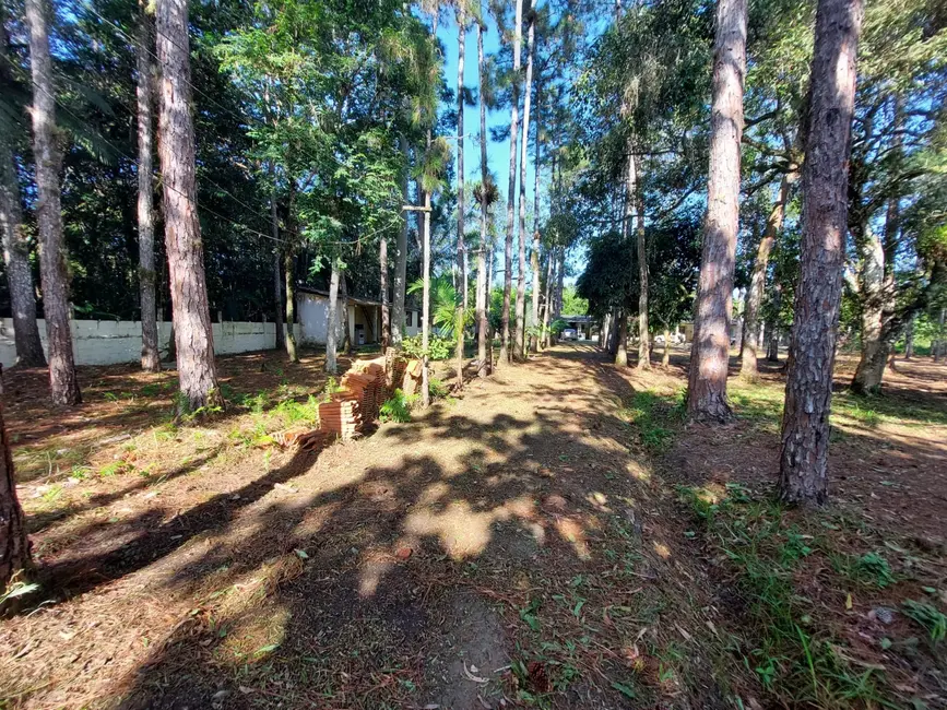 Foto 3 de Chácara com 3 quartos à venda, 80m2 em Itanhaem - SP