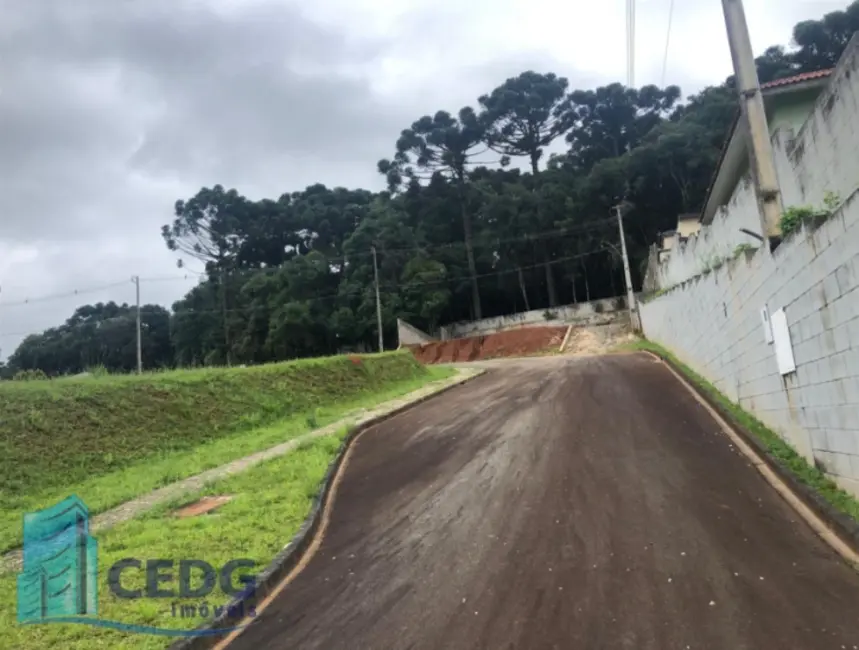 Lote de Condomínio à venda, 608m2 em Ferraria, Campo Largo - PR - imagem 8 Foto 8 de Lote de Condomínio à venda, 608m2 em Ferraria, Campo Largo - PR