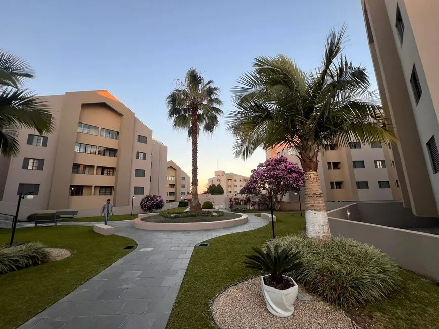 Apartamento com 3 quartos à venda, 60m2 em Capão Raso, Curitiba - PR - imagem 4 Foto 4 de Apartamento com 3 quartos à venda, 60m2 em Capão Raso, Curitiba - PR