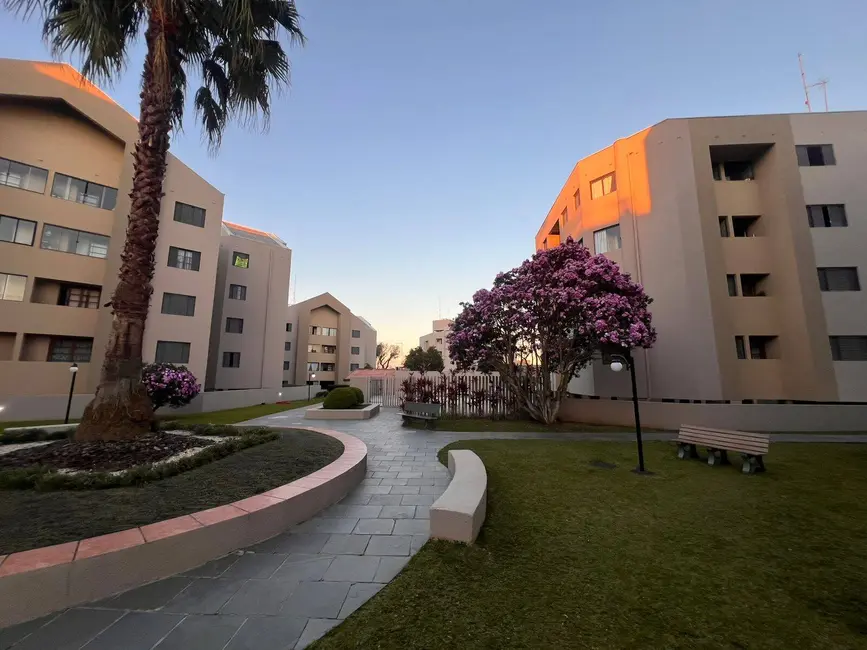 Apartamento com 3 quartos à venda, 60m2 em Capão Raso, Curitiba - PR - imagem 5 Foto 5 de Apartamento com 3 quartos à venda, 60m2 em Capão Raso, Curitiba - PR