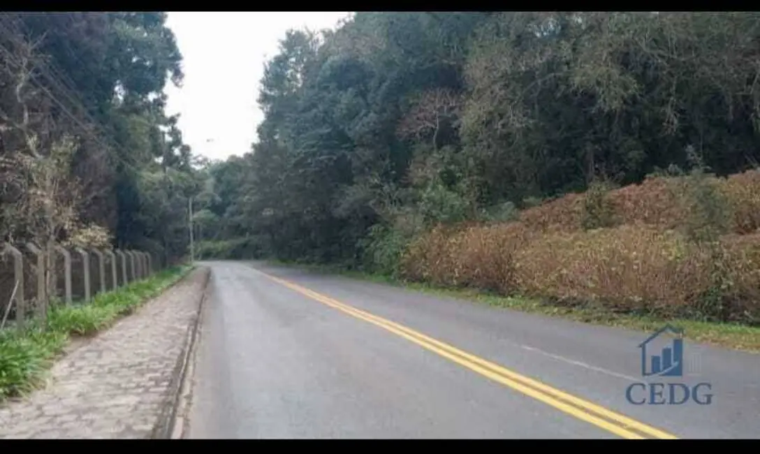 Terreno / Lote à venda, 66000m2 em Ferraria, Campo Largo - PR - imagem 1 Foto 1 de Terreno / Lote à venda, 66000m2 em Ferraria, Campo Largo - PR