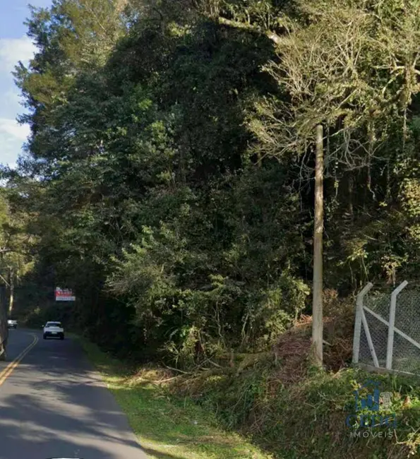 Terreno / Lote à venda, 66000m2 em Ferraria, Campo Largo - PR - imagem 5 Foto 5 de Terreno / Lote à venda, 66000m2 em Ferraria, Campo Largo - PR