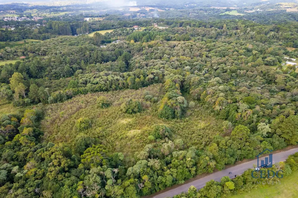 Foto 17 de Chácara à venda, 144400m2 em Vila São Tiago, Piraquara - PR