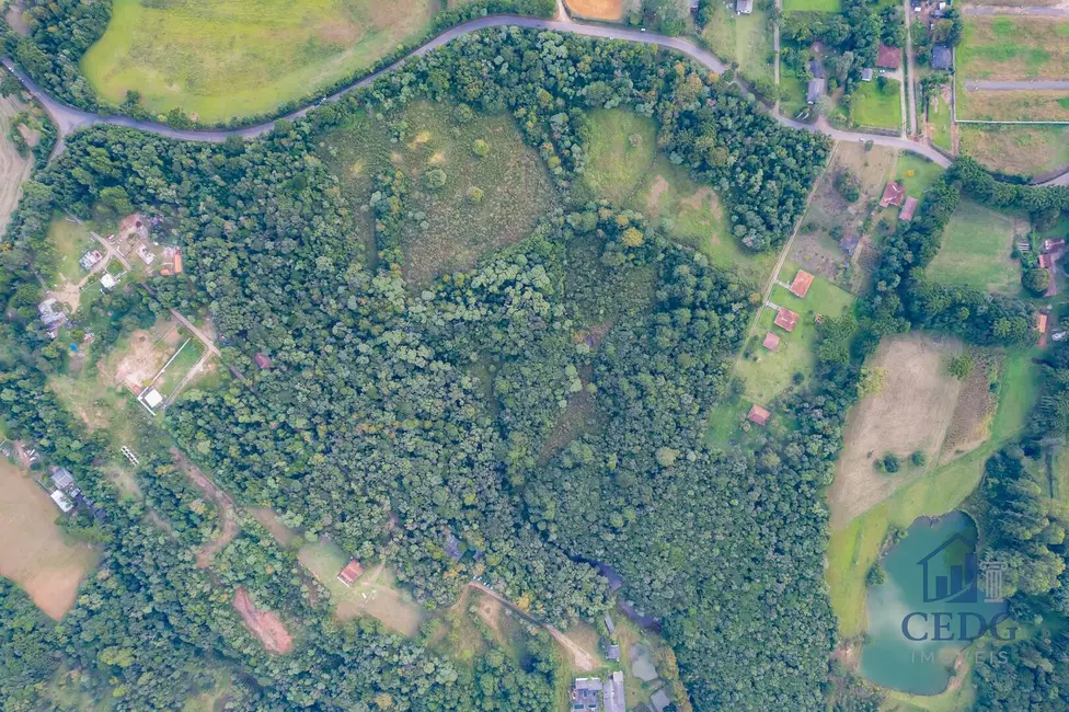 Foto 12 de Chácara à venda, 144400m2 em Vila São Tiago, Piraquara - PR