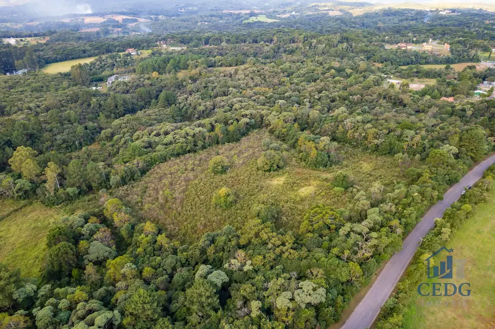 Foto 18 de Chácara à venda, 144400m2 em Vila São Tiago, Piraquara - PR