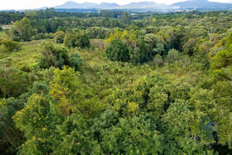 Foto 16 de Chácara à venda, 144400m2 em Vila São Tiago, Piraquara - PR