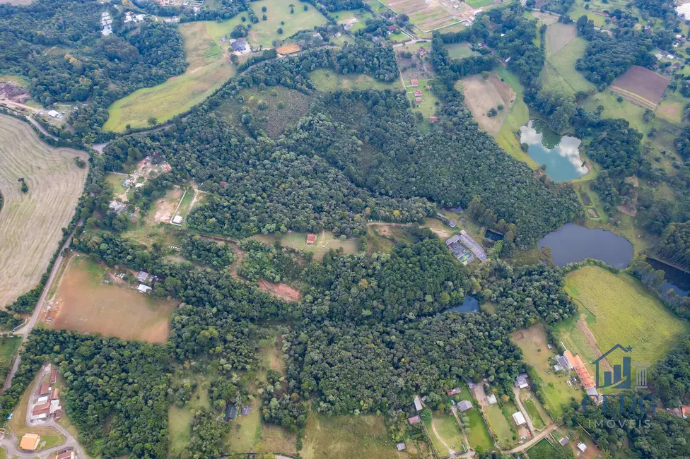 Foto 11 de Chácara à venda, 144400m2 em Vila São Tiago, Piraquara - PR