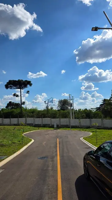 Lote de Condomínio à venda, 152m2 em Taboão, Curitiba - PR - imagem 9 Foto 9 de Lote de Condomínio à venda, 152m2 em Taboão, Curitiba - PR