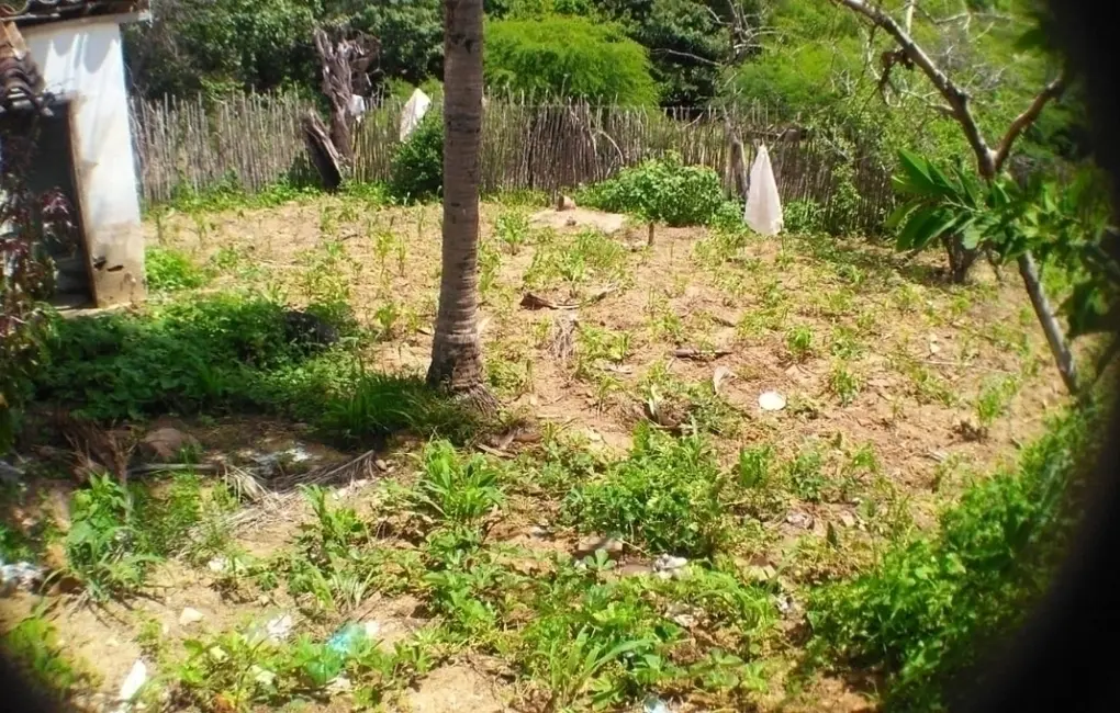 Foto 6 de Terreno / Lote à venda, 84m2 em Caruaru - PE