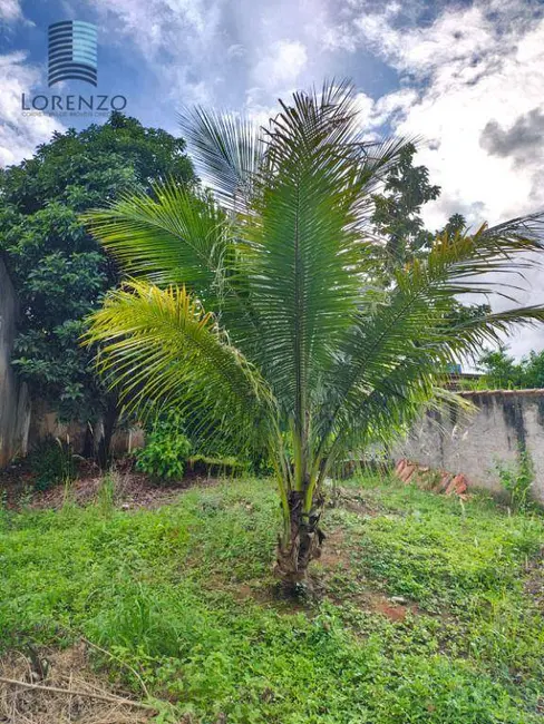 Terreno / Lote à venda, 600m2 em Castelo Branco, Salvador - BA - imagem 5 Foto 5 de Terreno / Lote à venda, 600m2 em Castelo Branco, Salvador - BA