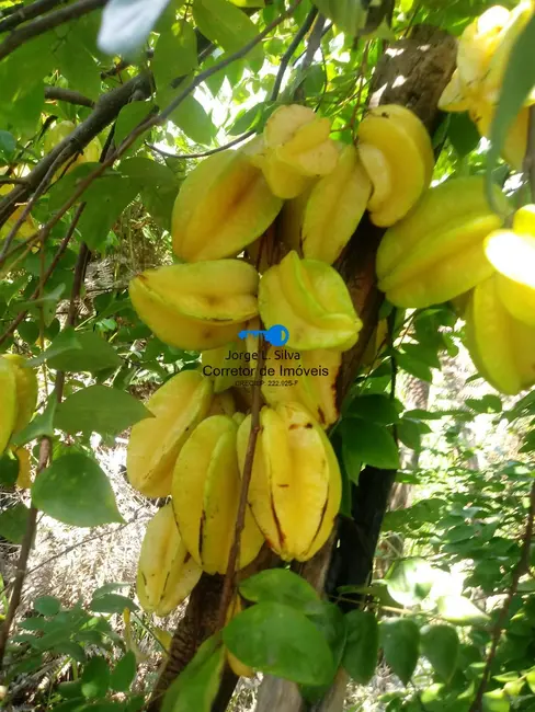 Foto 4 de Casa com 2 quartos à venda, 450m2 em Chácara das Garças, Santana De Parnaiba - SP