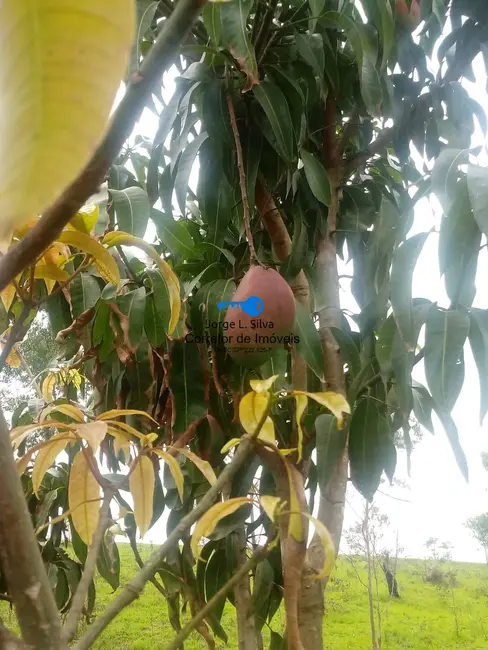 Foto 5 de Casa com 2 quartos à venda, 450m2 em Chácara das Garças, Santana De Parnaiba - SP