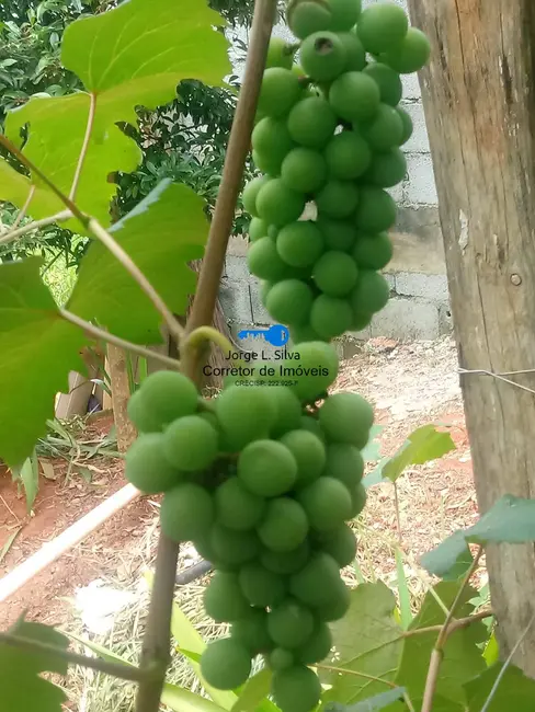 Foto 6 de Casa com 2 quartos à venda, 450m2 em Chácara das Garças, Santana De Parnaiba - SP