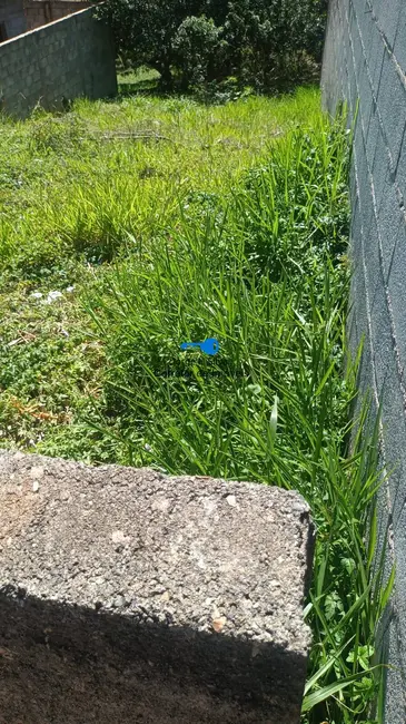 Terreno / Lote à venda, 140m2 em Ipês (Polvilho), Cajamar - SP - imagem 7 Foto 7 de Terreno / Lote à venda, 140m2 em Ipês (Polvilho), Cajamar - SP