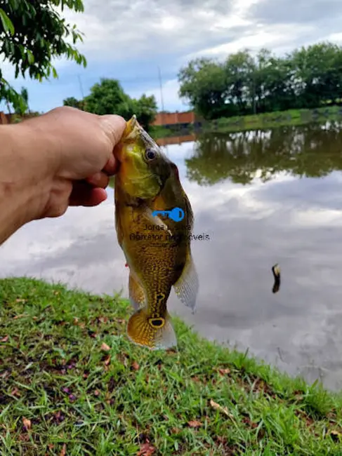 Foto 3 de Lote de Condomínio à venda, 1035m2 em Vila Padre Bento, Itu - SP