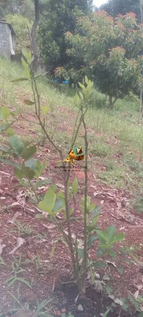 Foto 2 de Chácara com 1 quarto à venda, 1000m2 em Ponunduva, Cajamar - SP