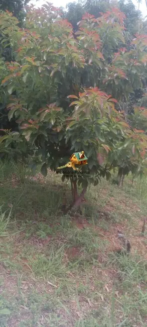 Chácara com 1 quarto à venda, 1000m2 em Ponunduva, Cajamar - SP - imagem 7 Foto 7 de Chácara com 1 quarto à venda, 1000m2 em Ponunduva, Cajamar - SP