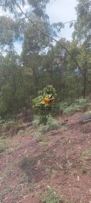 Chácara com 1 quarto à venda, 1000m2 em Ponunduva, Cajamar - SP - imagem 8 Foto 8 de Chácara com 1 quarto à venda, 1000m2 em Ponunduva, Cajamar - SP